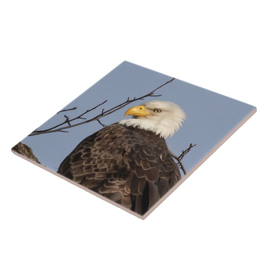 Schöne Mama (Adler) Keramik Tile Fliese (Seite)