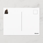 Schöne Mama (Adler) Postkarte (Rückseite)