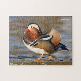 Schöne Mandarin-Duck am Boardwalk Puzzle