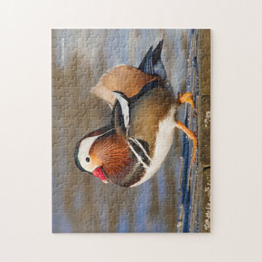 Schöne Mandarin-Duck am Boardwalk Puzzle (Vertikal)