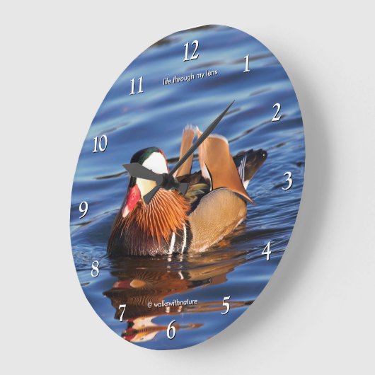 Schöne Mandarin-Duck am Teich Große Wanduhr (Winkel)