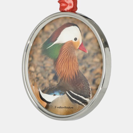 Schöne Mandarin-Duck auf den Felsen Ornament Aus Metall (Links)