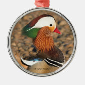 Schöne Mandarin-Duck auf den Felsen Ornament Aus Metall (Vorne)