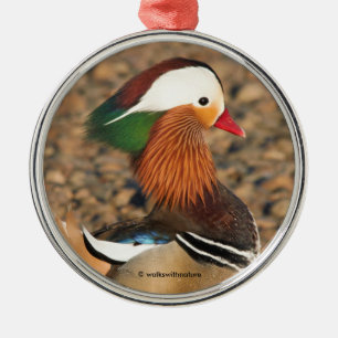 Schöne Mandarin-Duck auf den Felsen Ornament Aus Metall