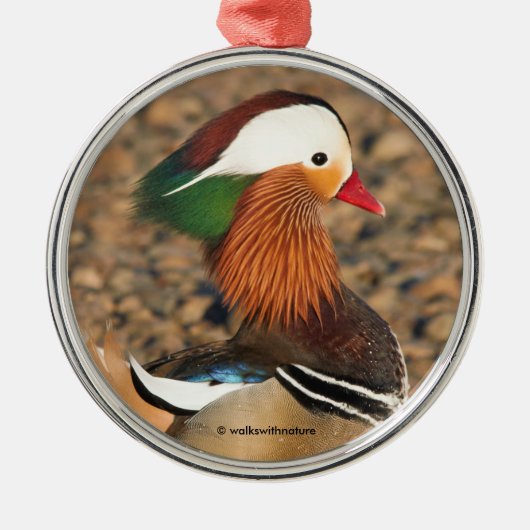 Schöne Mandarin-Duck auf den Felsen Ornament Aus Metall (Vorne)