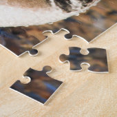 Schöne Mandarin-Duck auf den Felsen Puzzle (Seite)