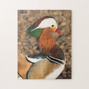 Schöne Mandarin-Duck auf den Felsen Puzzle
