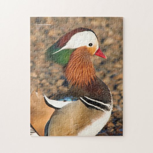 Schöne Mandarin-Duck auf den Felsen Puzzle (Vertikal)