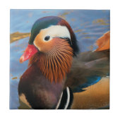 Schöne Mandarin-Duck im Teich Fliese (Vorderseite)