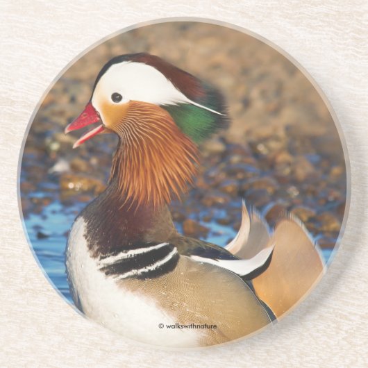 Schöne Mandarin-Duck im Teich Getränkeuntersetzer (Vorne)