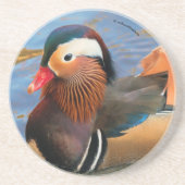 Schöne Mandarin-Duck im Teich Getränkeuntersetzer (Vorne)