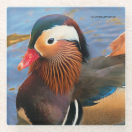 Schöne Mandarin-Duck im Teich Glasuntersetzer