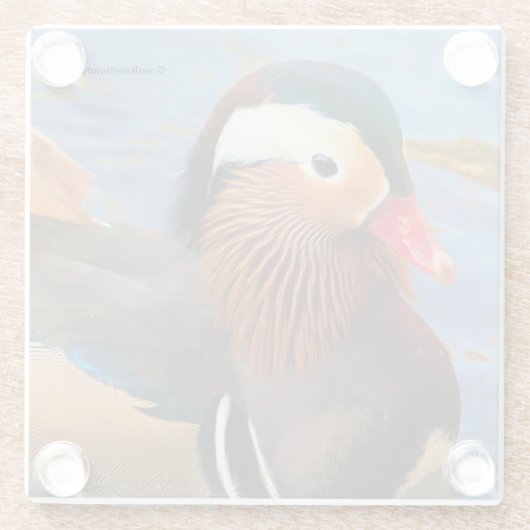 Schöne Mandarin-Duck im Teich Glasuntersetzer (Rückseite)