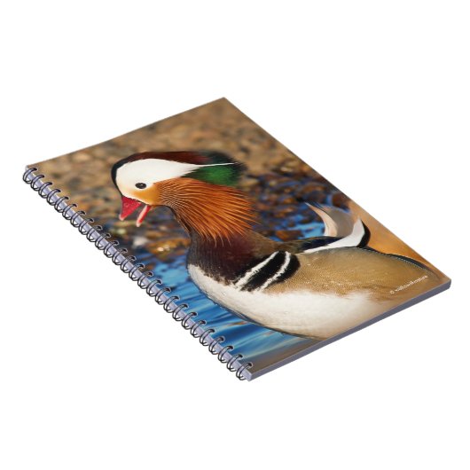 Schöne Mandarin-Duck im Teich Notizblock (Rechte Seite)