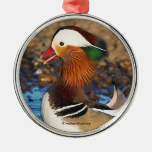 Schöne Mandarin-Duck im Teich Ornament Aus Metall