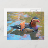 Schöne Mandarin-Duck im Teich Postkarte (Vorne/Hinten)