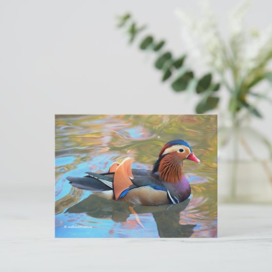 Schöne Mandarin-Duck im Teich Postkarte (Stehend Vorderseite)
