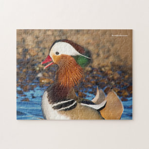 Schöne Mandarin-Duck im Teich Puzzle