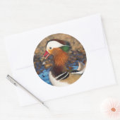 Schöne Mandarin-Duck im Teich Runder Aufkleber (Umschlag)
