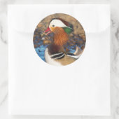 Schöne Mandarin-Duck im Teich Runder Aufkleber (Tasche)
