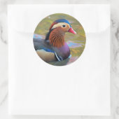 Schöne Mandarin-Duck im Teich Runder Aufkleber (Tasche)
