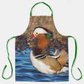 Schöne Mandarin-Duck im Teich Schürze (Vorderseite)