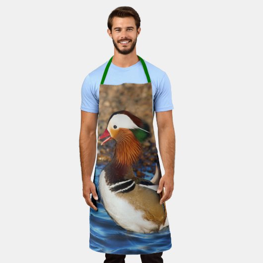 Schöne Mandarin-Duck im Teich Schürze (Getragen)