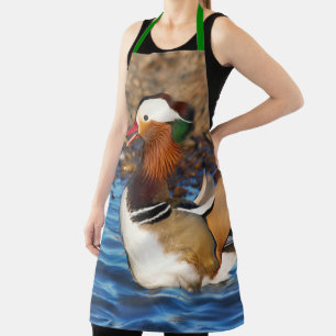 Schöne Mandarin-Duck im Teich Schürze