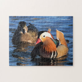 Schöne Mandarin- und Holzducken am Teich Puzzle
