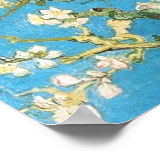 Schöne Mandelblüte antikes Bild Blau gre Poster (Ecke)