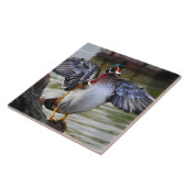 Schöne markante Holzherde Florida Fotografie Fliese (Seite)