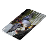 Schöne markante Holzherde Florida Fotografie Magnet (Linke Seite)