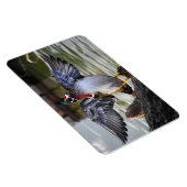 Schöne markante Holzherde Florida Fotografie Magnet (Rechte Seite)