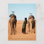 Schöne Marokko Wüste Sahara Camel Riding Trip Postkarte (Vorderseite)