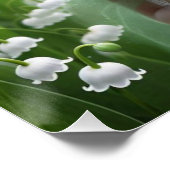 Schöne May Fairy in Lilies of the Valley Poster (Ecke)