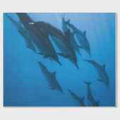 Schöne Meereslebewesen Geschenkpapier (Flach)