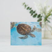 Schöne Meeresschildkröte Postkarte (Stehend Vorderseite)