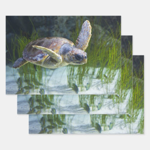 Schöne Meeresschildkröte Schwimmt Horizontal Geschenkpapier Set