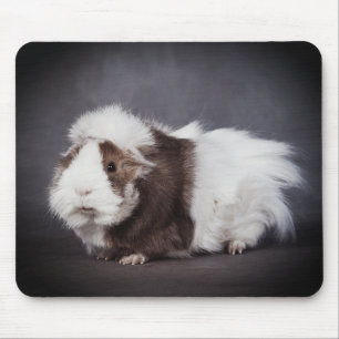 Schöne Meerschweinchen-Mauspad Mousepad