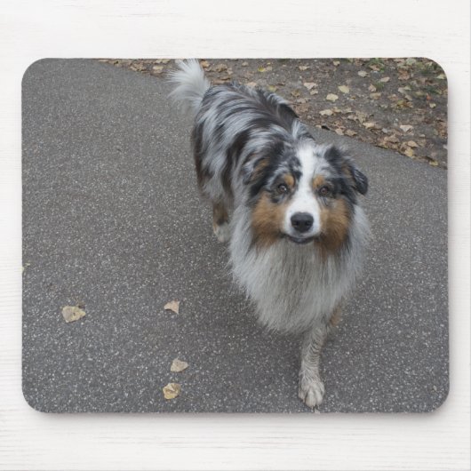 Schöne, mehrfarbige Aussie Mousepad (Vorne)
