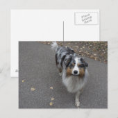 Schöne mehrfarbige Aussie Postkarte (Vorne/Hinten)