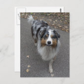 Schöne, mehrfarbige Aussie Postkarte (Vorne/Hinten)