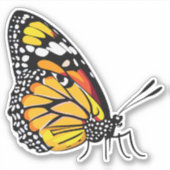 Schöne mehrfarbige Schmetterlinge Aufkleber (Vorderseite)