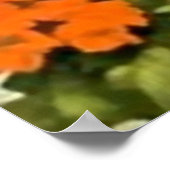 Schöne mexikanische Kalender Girl mit Gitarre Poster (Ecke)