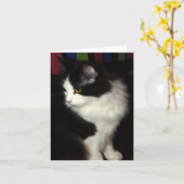 Schöne Miezekatzeanmerkungskarte Karte (Gelbe Blume)