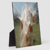 Schöne Milkweed Magie: Ein Skyward-Flugdesign Fotoplatte (Seite)