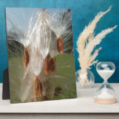 Schöne Milkweed Magie: Ein Skyward-Flugdesign Fotoplatte (Seite)