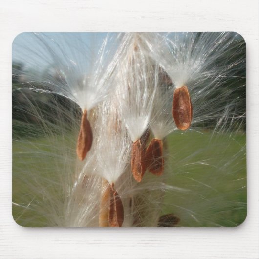 Schöne Milkweed Magie: Ein Skyward-Flugdesign Mousepad (Vorne)