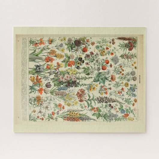Schöne Millot Fleur Illistration Print Puzzle (Horizontal)