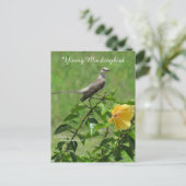 Schöne Mockingbird Postcard Postkarte (Stehend Vorderseite)